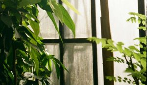 impianto videosorveglianza